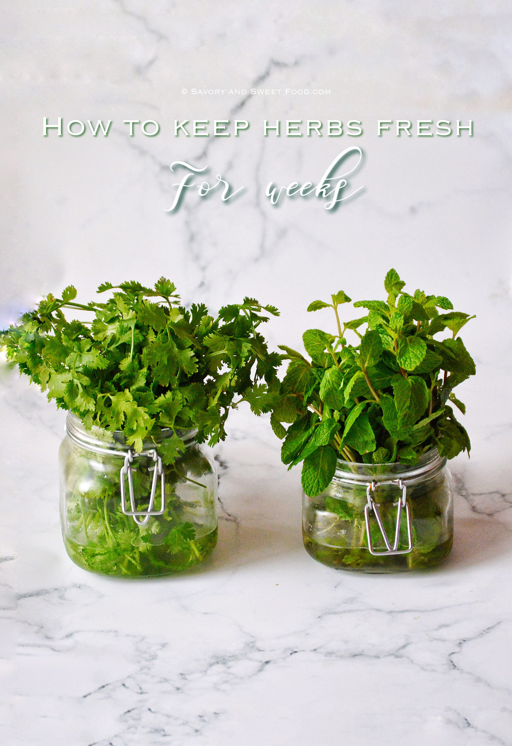 How to Store Parsley: 7 Secret Hacks to Keeping Parsley Fresh