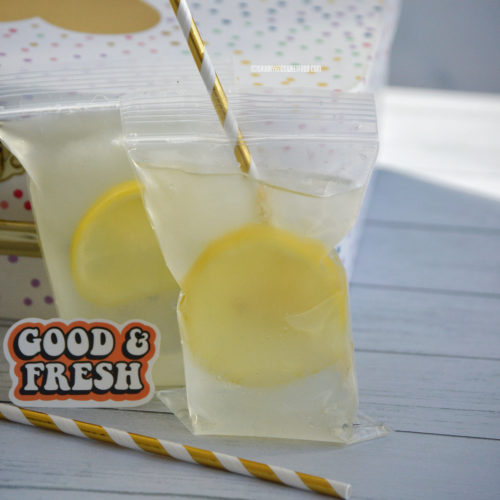 Del's Lemonade All Natural Frozen Lemonade Mix - 8 Packet Pouch From Rhode Island